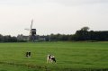 1SC_0056.jpg