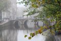 1SC_0439.jpg