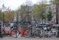 DSC_0486.jpg
