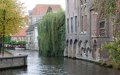 2SC_0138.jpg