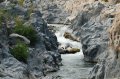 DSC_0106.jpg