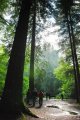 DSC_0177.jpg
