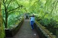 DSC_0197.jpg
