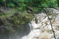 DSC_0218.jpg